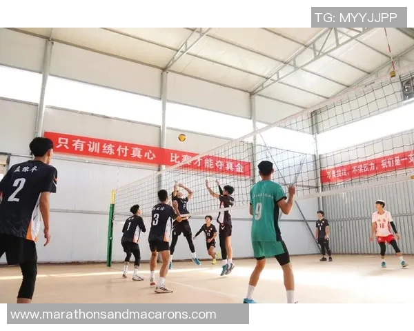 杭州排球队在全国排球耐力排行榜中荣登第七名展现出强大实力与潜力