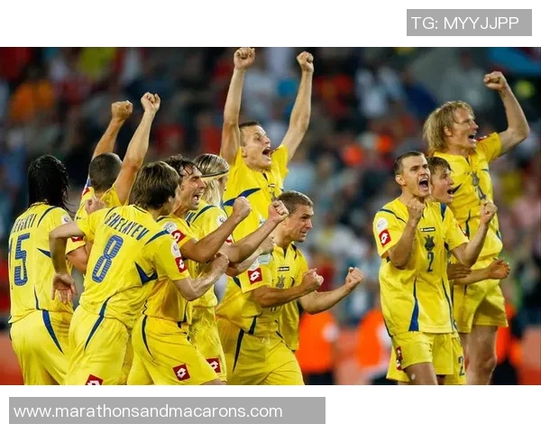 波黑足球明星盘点:那些在国际赛场上闪耀的传奇球员