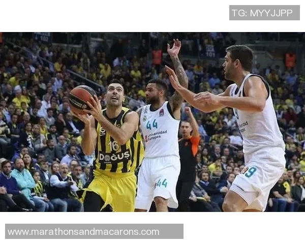 深圳排球队强势领跑总决赛积分榜以79分稳居第一