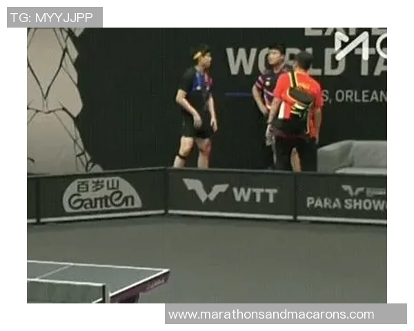 重庆排球队与杭州排球队赛后复盘分析配合默契与战术执行的关键因素