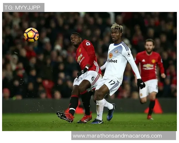 黑猫足球明星观看指南及相关平台推荐详细介绍