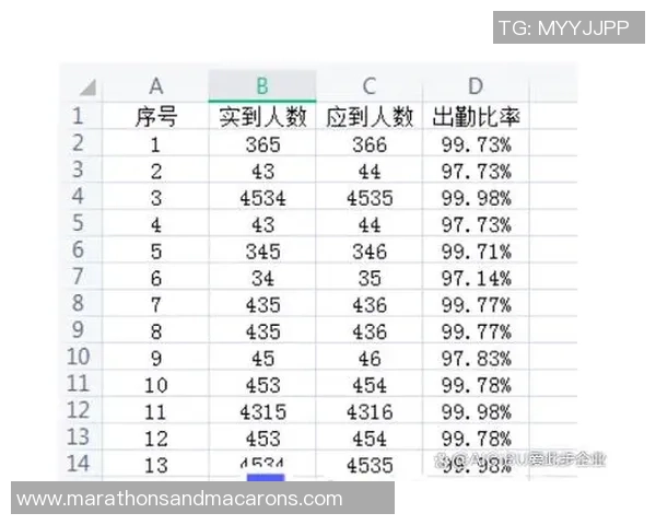 数据分析：武汉飞盘队的灵活性表现