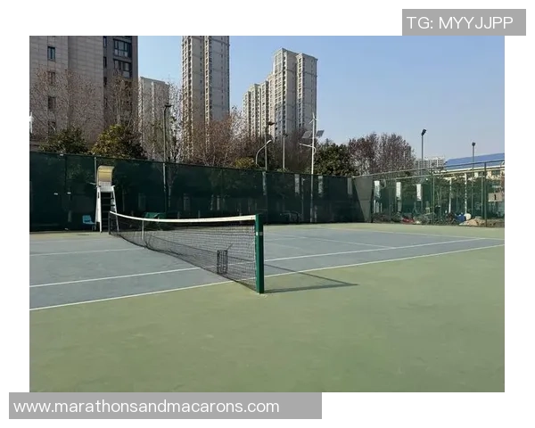 网球巨献：探秘上海网球队的战术